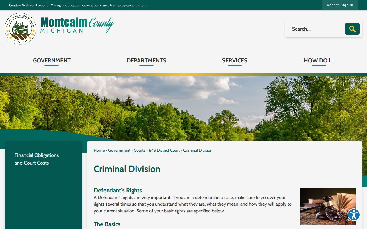 Montcalm County criminal court docket Criminal Division record request